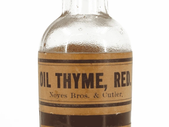 Oil Thyme, Red